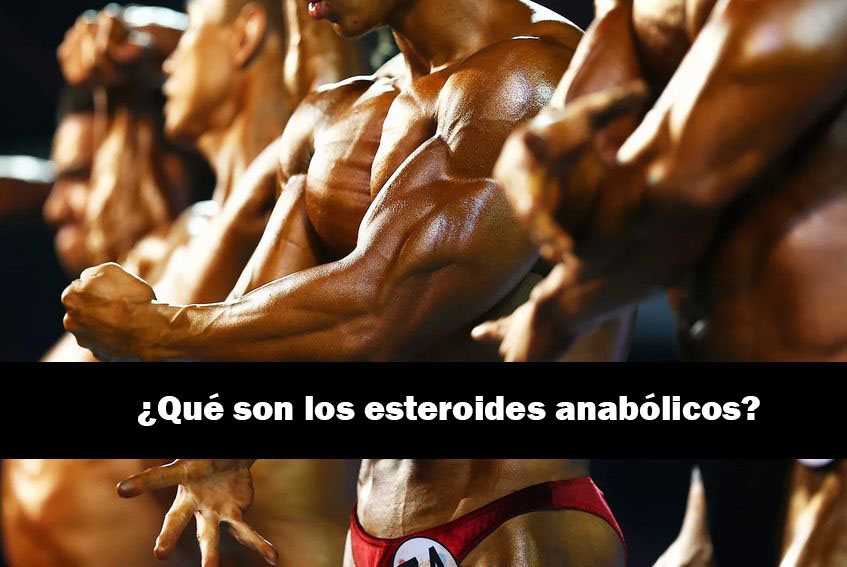 ¿Qué son los esteroides anabólicos?