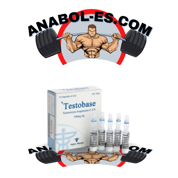 Testobase