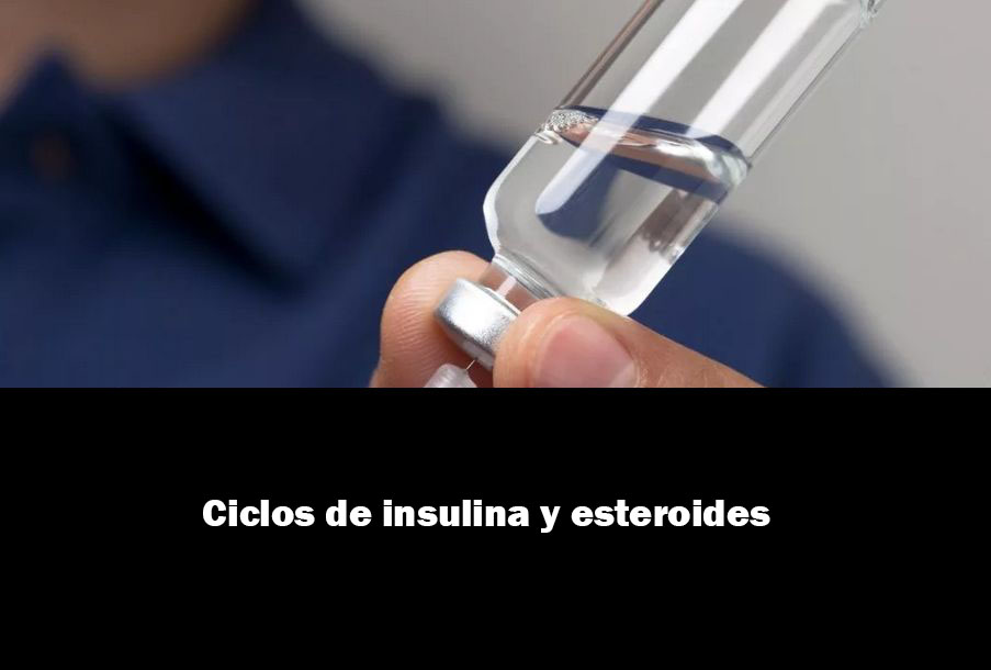 Ciclos de insulina y esteroides