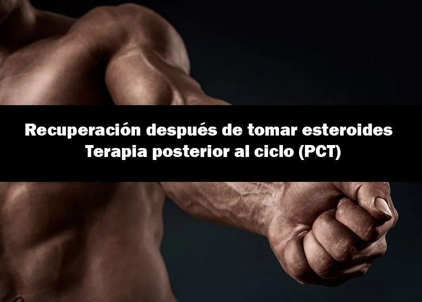 Recuperación después de tomar esteroides | Terapia posterior al ciclo (PCT)